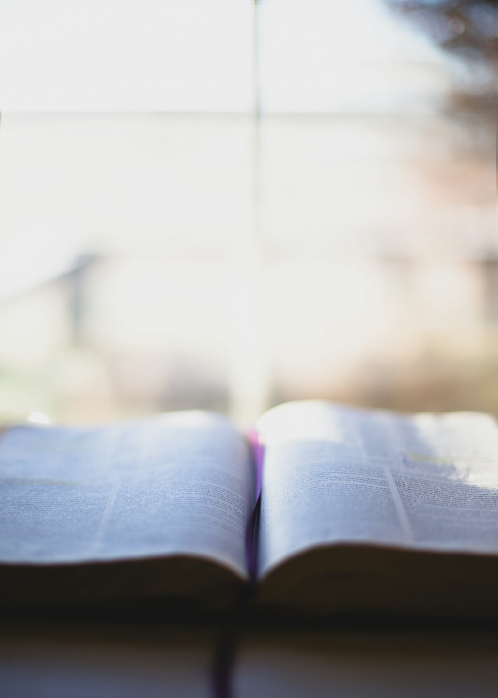 Open book bathed in soft natural light from a window.