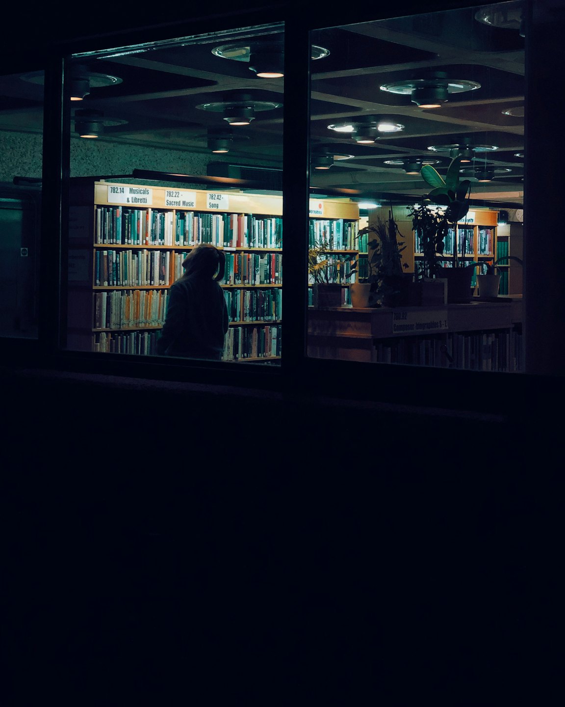 Person looking at books on a library shelf.